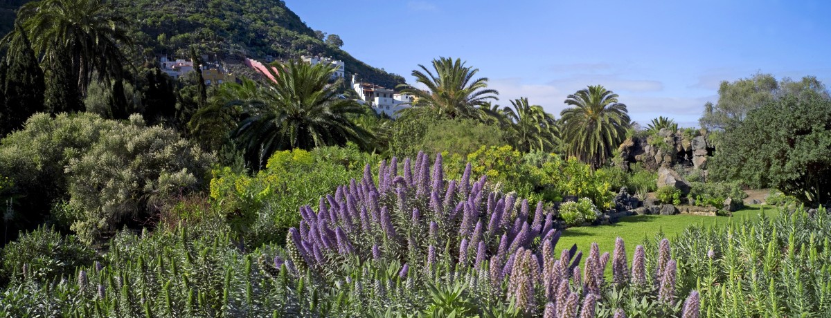 Jardín Botánico Viera y Clavijo